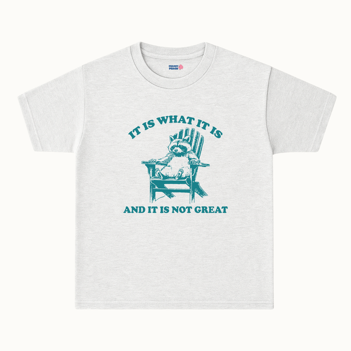 It is what it is, and it's not great