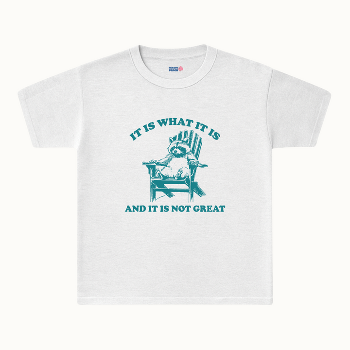 It is what it is, and it's not great