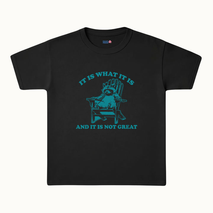 It is what it is, and it's not great