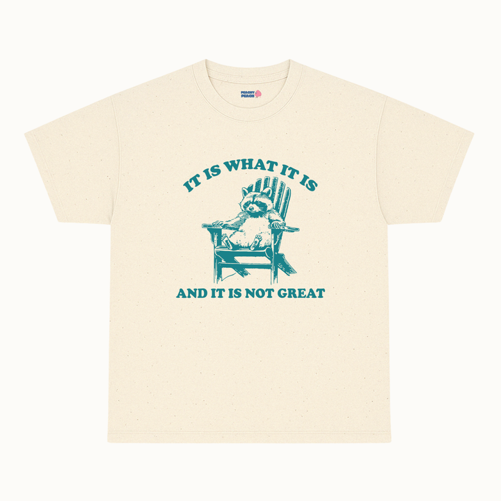 It is what it is, and it's not great