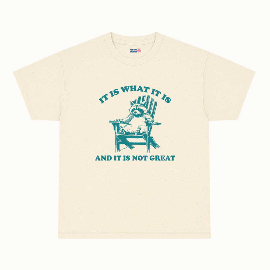 It is what it is, and it's not great
