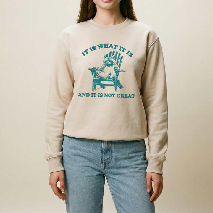 It is what it is, and it's not great