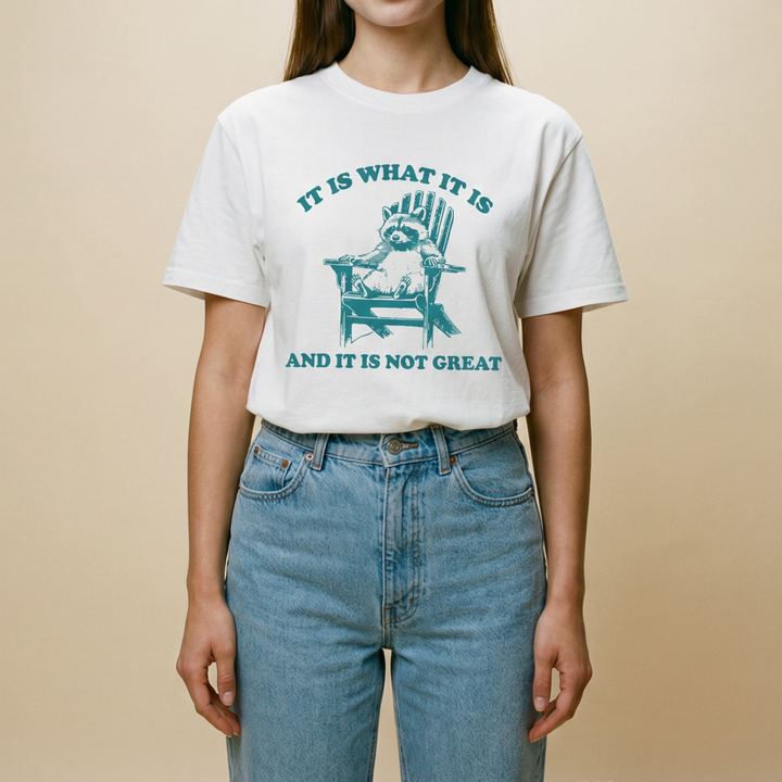 It is what it is, and it's not great