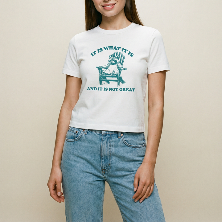 It is what it is, and it's not great