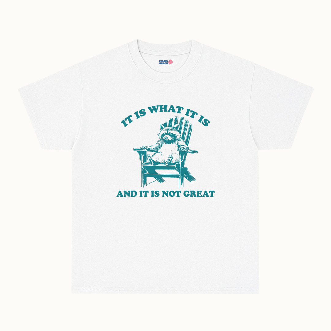It is what it is, and it's not great