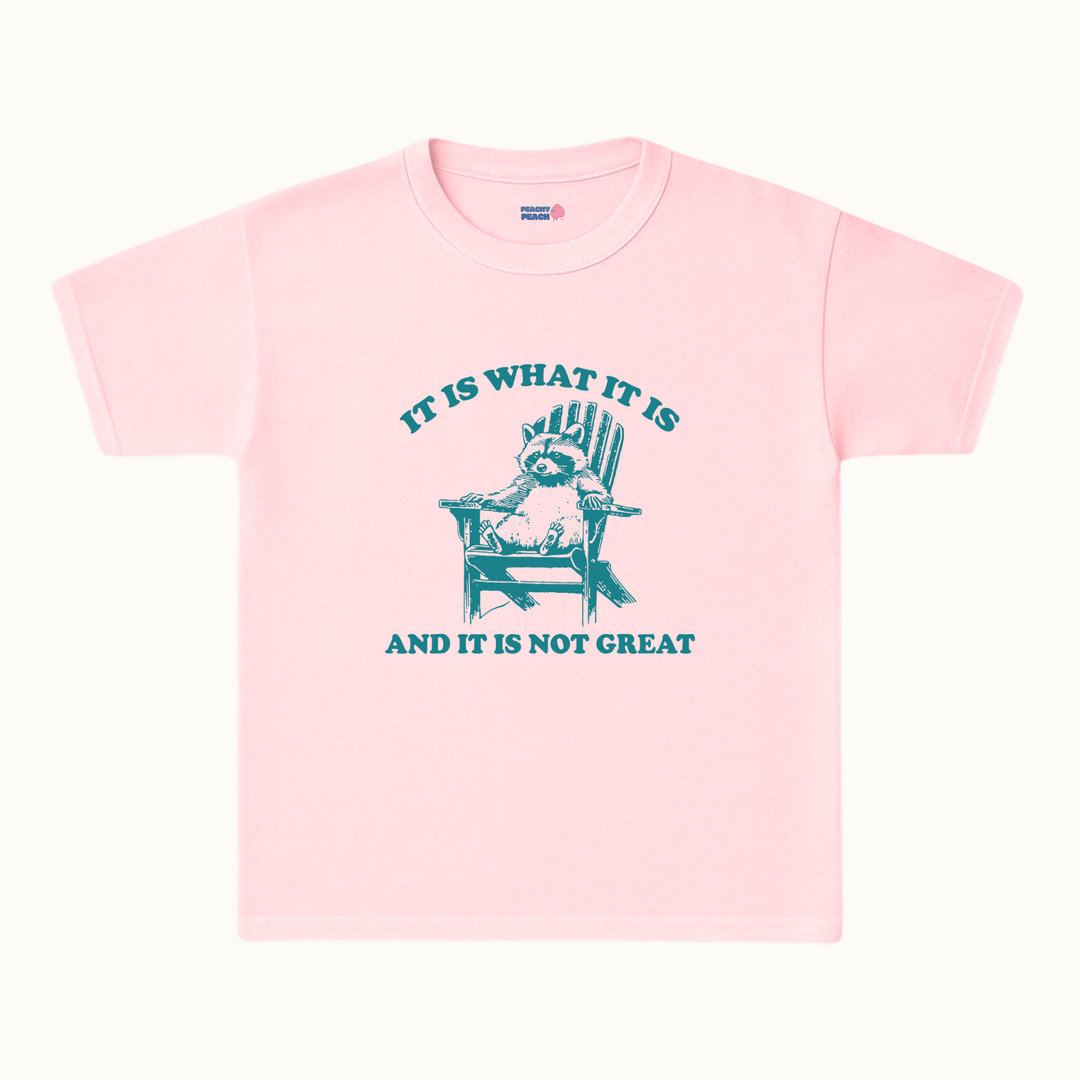 It is what it is, and it's not great