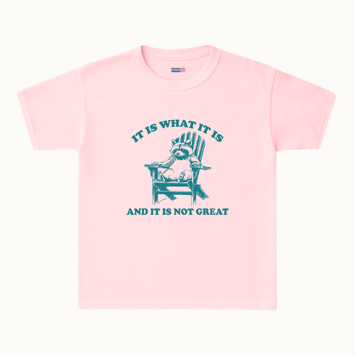 It is what it is, and it's not great