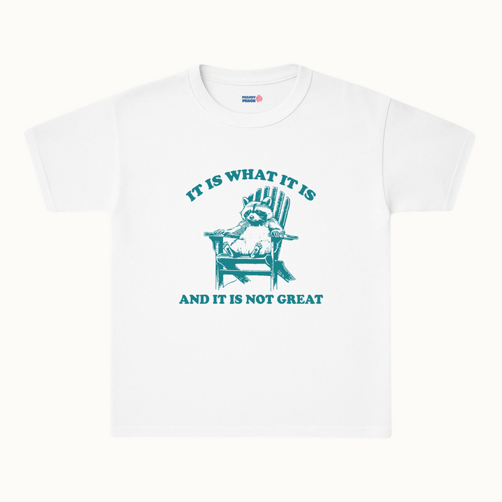 It is what it is, and it's not great