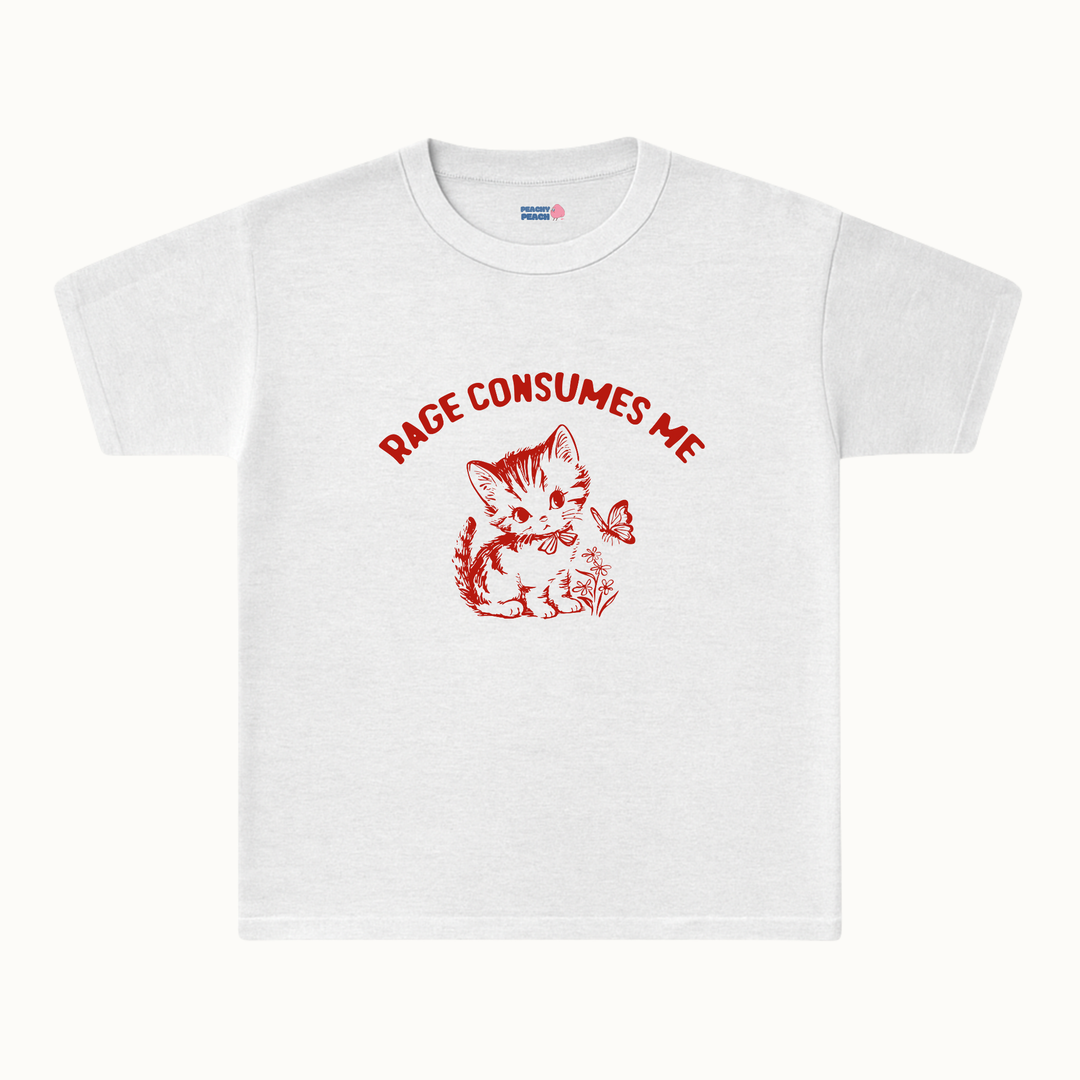 Rage consumes me