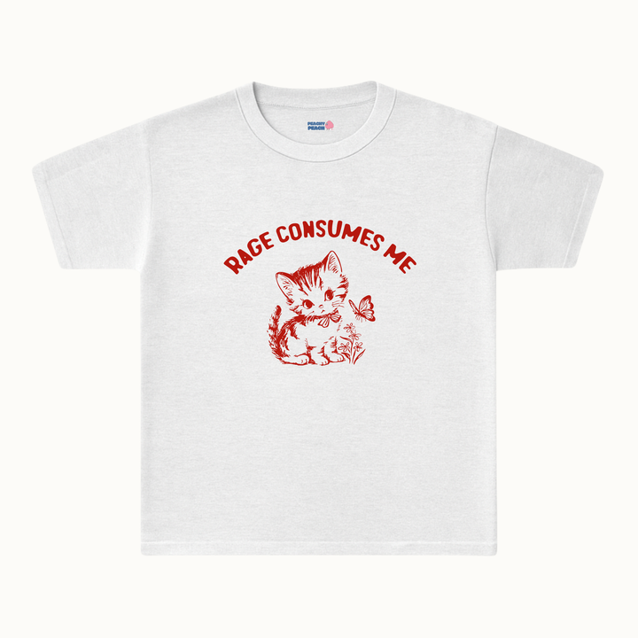 Rage consumes me