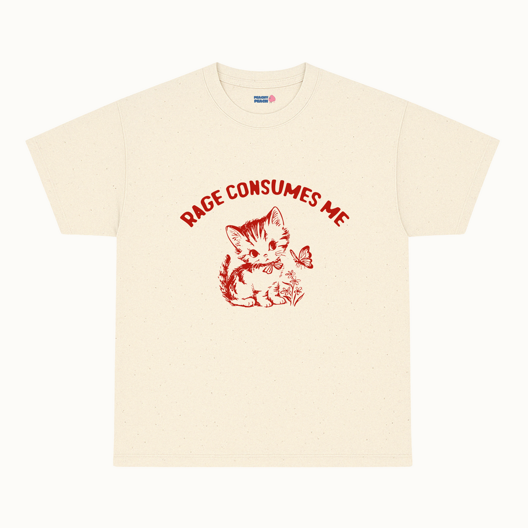 Rage consumes me