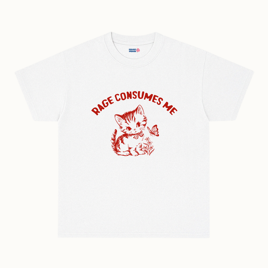 Rage consumes me