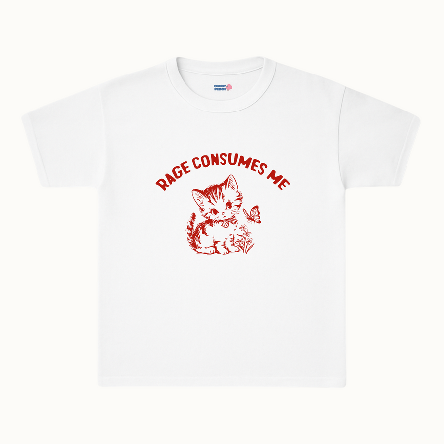 Rage consumes me