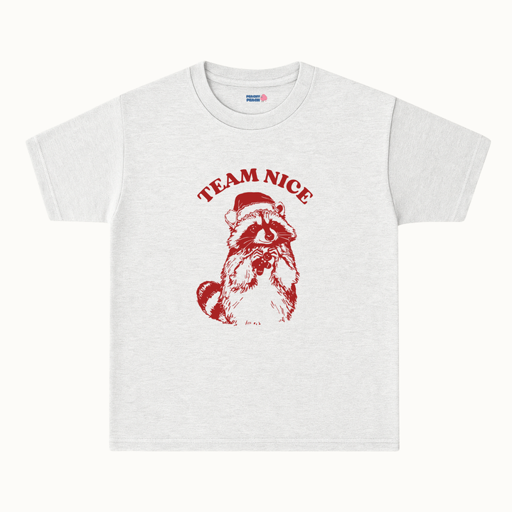 Team Nice