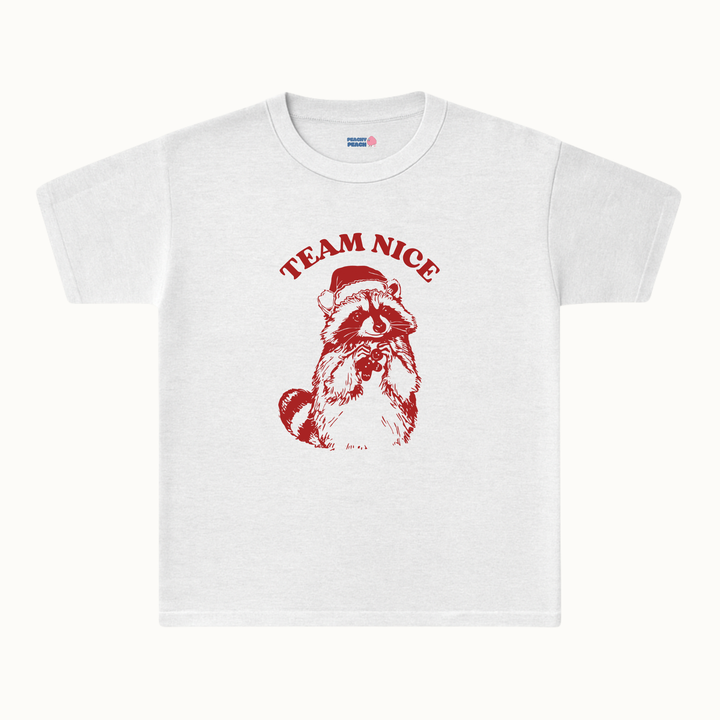Team Nice
