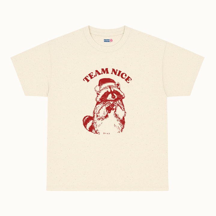 Team Nice