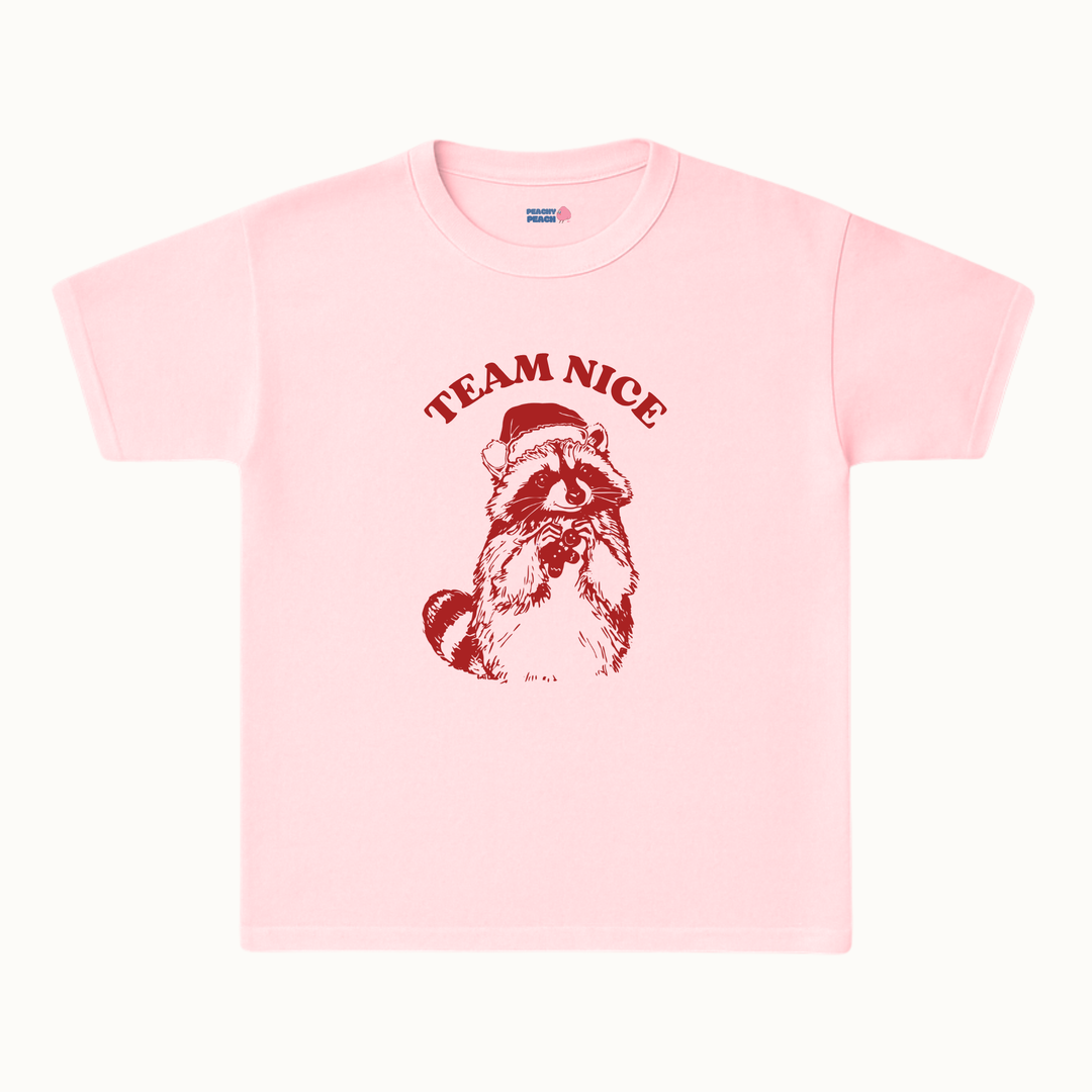 Team Nice