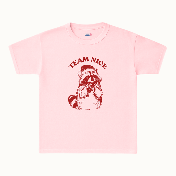 Team Nice