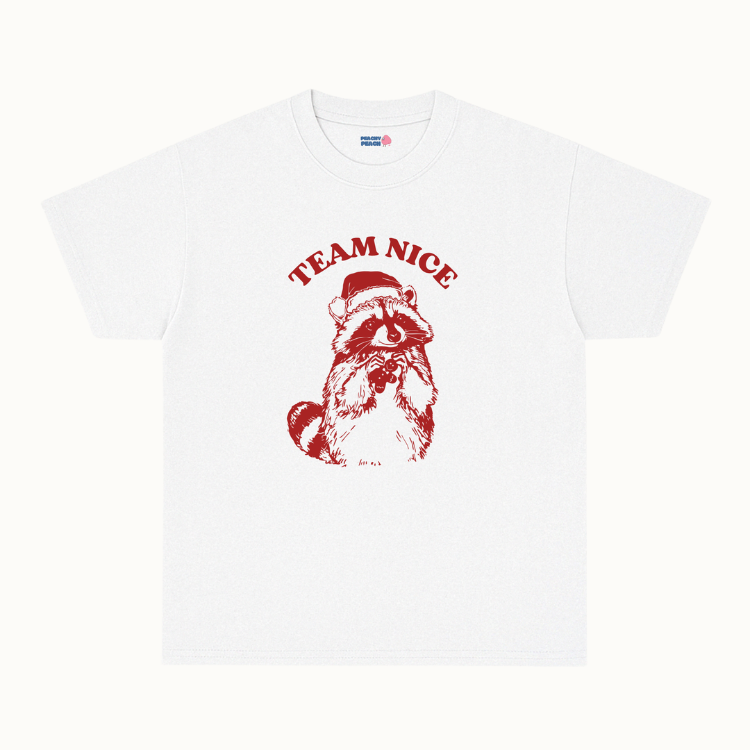 Team Nice