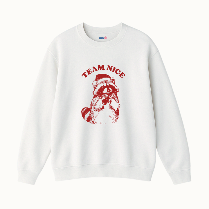 Team Nice