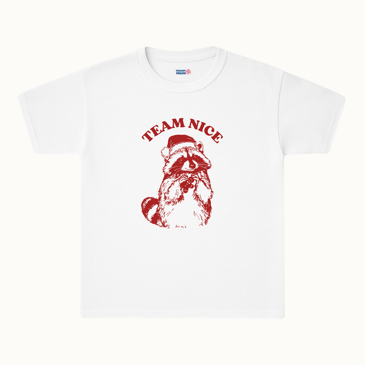 Team Nice